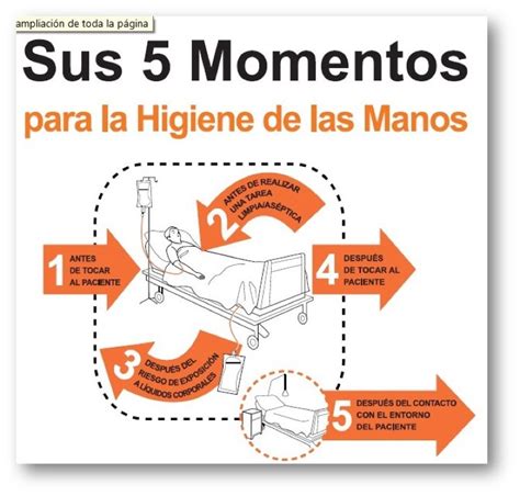 Los 5 Momentos Lavado De Manos