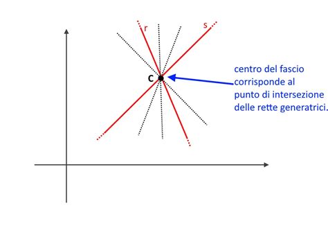 ESERCIZI SVOLTI Sul Fascio Di Rette MondoFisica