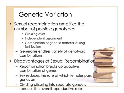 Chapter 22 How Genetic Variation Is Maintained Within Populations Ppt Download