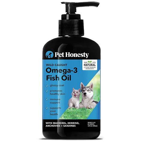 6 Best Fish Oil Supplements for Cats [2024]