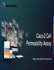 Guide To Caco Cell Permeability Assay Course Hero