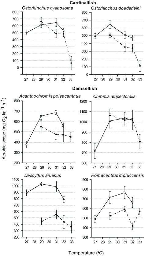 A Latitudinal Comparison Of Aerobic Scope In Cardinalfish And