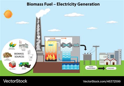 Diagramm Zur Stromerzeugung Von Biomasse Vektorbild