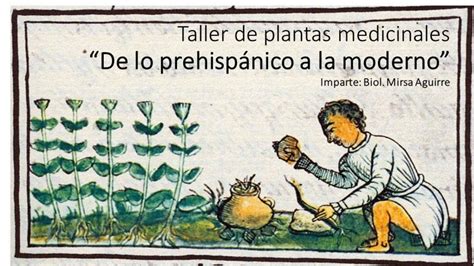 Taller Plantas Medicinales De lo Prehispánico a lo Moderno Usos y