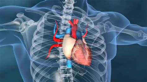 Tapvc Treatment at Unimediks: Your Health, Our Mission