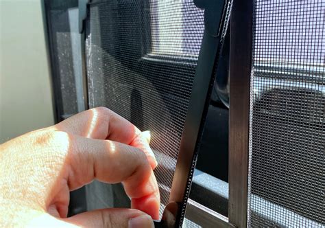 Alpha Netting Your Insect Screen Specialist