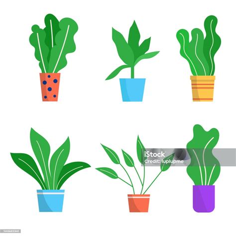 Flower Pot Set Vector Illustration Green Garden Plant In Flowerpot