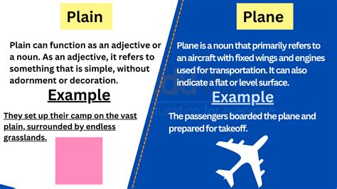 Plain vs. Plane-Difference between and Examples