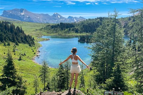 Hiking Sunshine Meadows in Banff: Your Guide - Endless Wonder