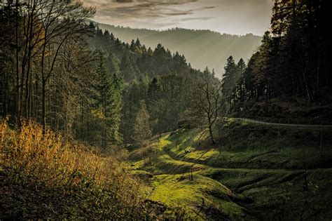 Bildet Landskap Tre Natur Gress Villmark Fjell Lett Anlegg