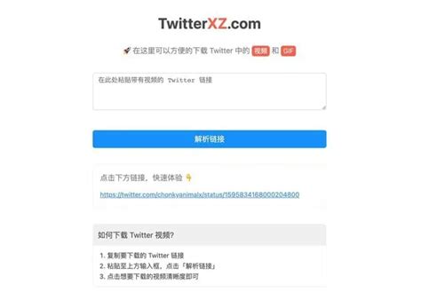 Twitterxz 从 X 平台快速下载影片与  动态图的最佳工具 有个狸