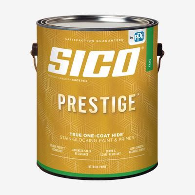 SICO PRESTIGE Interior 100 Acrylic Latex Stain Blocking Paint