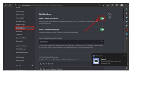 How To Manage Your Discord Notification