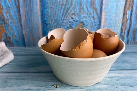 How To Use Eggshells In The Garden Gardeners Path