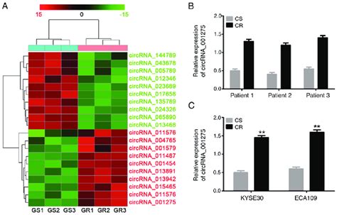 CircRNA 001275 Is Upregulated In Esophageal Cancer With Cisplatin