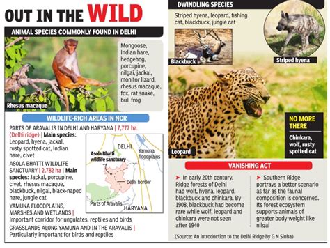 Delhi Wildlife Fauna Indpaedia