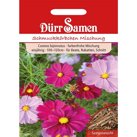 Dürr Samen Cosmea Mischung 1 Packung Bloomling Deutschland