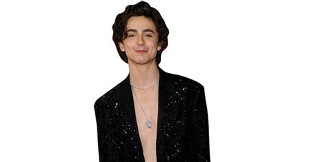 Timothée Chalamet Topless Half Body Buddy Cutout Celebrity Cutouts