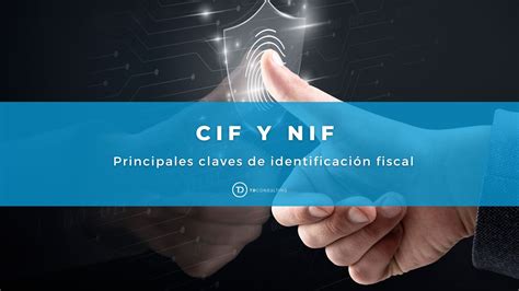 Cif Y Nif Principales Claves De Identificaci N Fiscal Tdconsulting