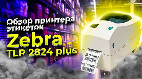 Zebra TLP 2824 Plus обзор принтера этикеток Принтер штрих кодов Зебра