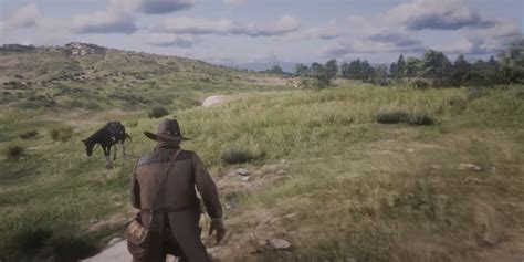 The Red Dead Redemption II: The Most Beautiful Locations Explained ...