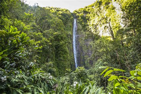 The Complete Guide to Maui Waterfalls | Skyline Hawaii