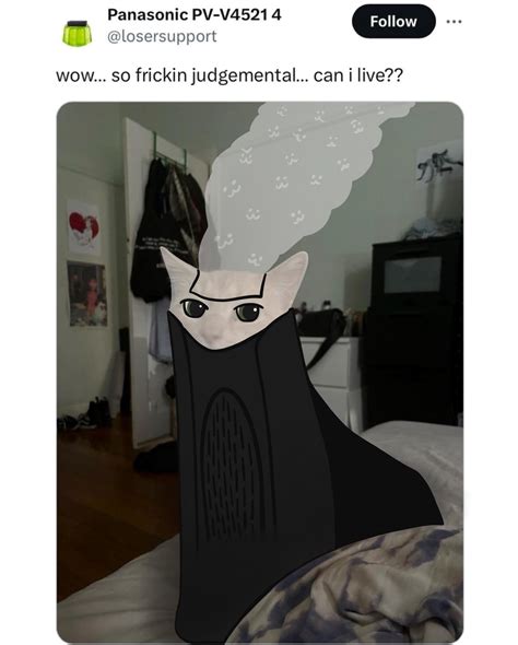 Witness Cat Judges Your Shape Rdestiny2
