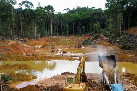 Miner A Ilegal Es El Motor De La Epidemia De Malaria En Venezuela