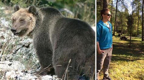 Trentino lorso che ha ucciso il runner Andrea Papi sarà abbattuto