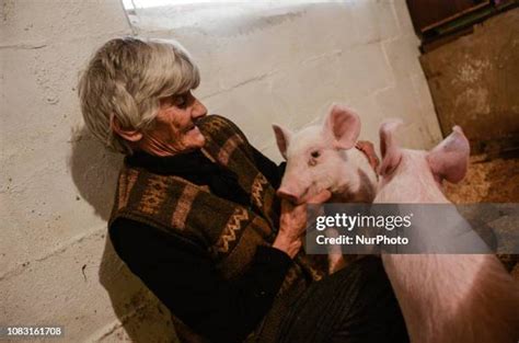 47 Jelka Stock Photos, High-Res Pictures, and Images - Getty Images