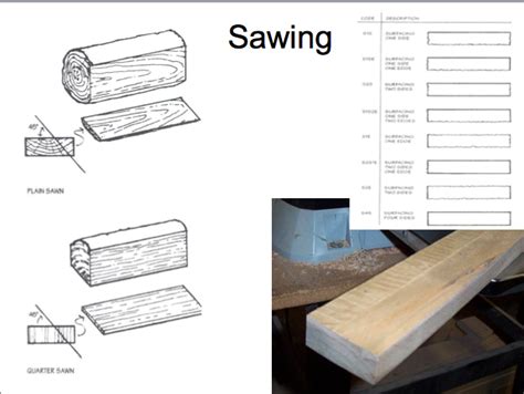 Sawing Plain Sawn Directly Across The Log Relatively Inexpensive Conspicuous Growth Rings