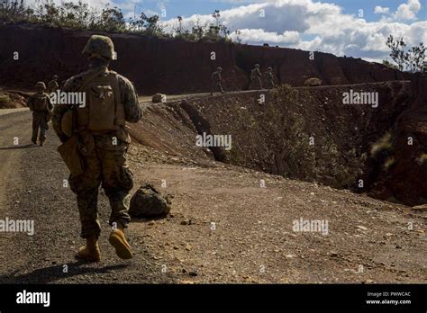 U S Marines With Task Force Koa Moana Conduct A Patrol At Plum