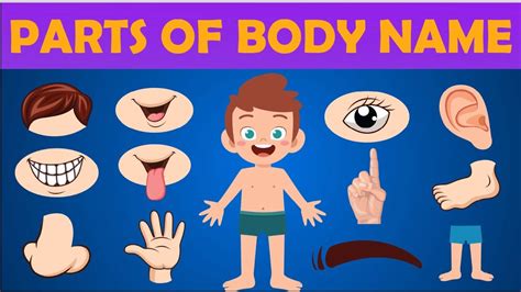 Human Body Parts in hindi and english Learning Video for kids शरर