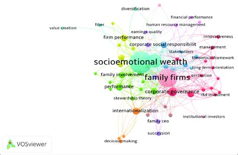 Socio Emotional Wealth A Network Visualization Download Scientific