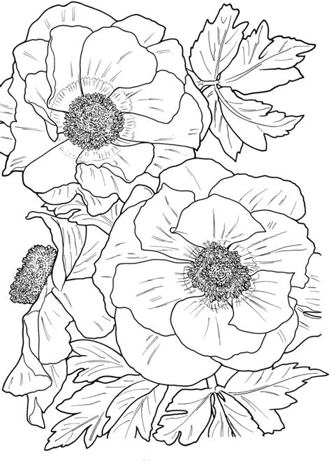 Coloring Pages Of Flowers For Adults