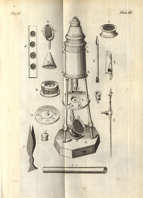 Hooke’s Books Influences Around Robert Hooke’s Micrographia Circulating Now From The Nlm