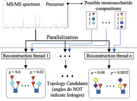 Glycodenovo An Improved Ms Ms Based De Novo Glycan Topology