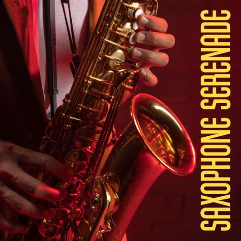 Saxophone Serenade Smooth Jazz Melodies And Soulful Grooves Album By