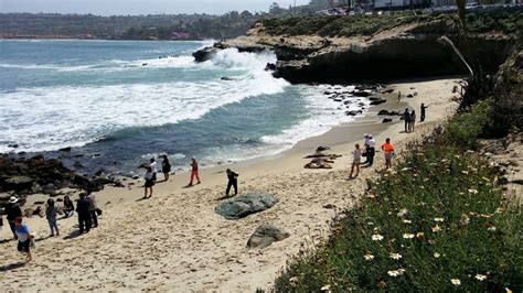 La Jolla Cove Beach in La Jolla, CA - California Beaches