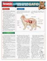 Resumão Como Cuidar Bem do seu Gato