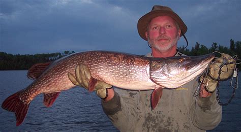 Ontario Pike Angling