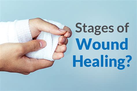 Stages Of Wound Healing Home Care Delivered