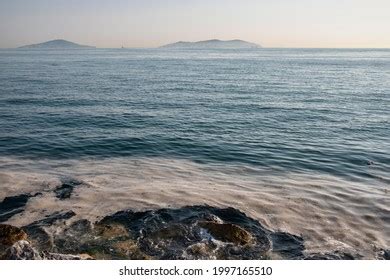 89 Sea Snot Turkey Images, Stock Photos & Vectors | Shutterstock