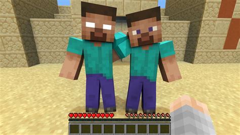 Herobrine And Steve Friends