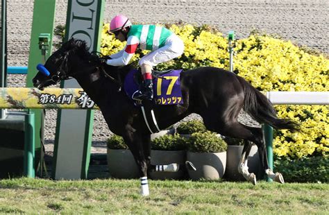 昨年の菊花賞馬ドゥレッツァ、金鯱賞から天皇賞・春のローテが有力― スポニチ Sponichi Annex ギャンブル