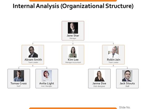 Internal Analysis Organizational Structure Ppt PowerPoint Presentation