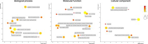 Scatter Plots For Significant Go Terms From The Categories Of