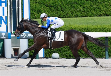 【新馬戦】ソニックスター3馬身差圧勝 川田は素質評価「背中のすごくいい馬で将来が楽しみ」 競馬ニュース Netkeiba