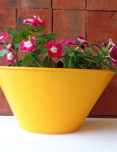 Gardenia Planters Sunantha Organic Farms