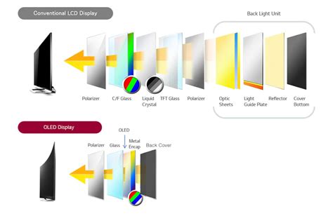 Mini Led Vs Ips Vs Va Vs Oled Diferencias Y Cu L Elegir